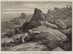 أمير ويلز De--Stalking في Lochnagar